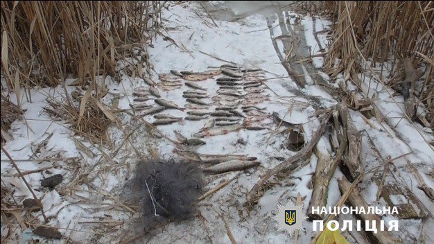 Погубив рибу на 100 тисяч, був спійманий та чекає на суд браконьєр на Харківщині